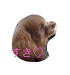 アンジュのあいさつ（個別スタンプ：1）