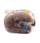 アンジュのあいさつ（個別スタンプ：3）