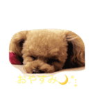 アンジュのあいさつ（個別スタンプ：4）