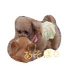アンジュのあいさつ（個別スタンプ：6）