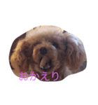 アンジュのあいさつ（個別スタンプ：8）