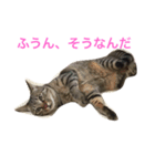 cute mugi（個別スタンプ：1）
