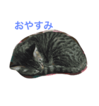 cute mugi（個別スタンプ：8）