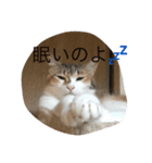 むぎ＆詩（個別スタンプ：3）