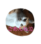 むぎ＆詩（個別スタンプ：4）