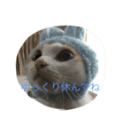 むぎ＆詩（個別スタンプ：6）