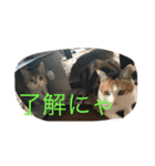 むぎ＆詩（個別スタンプ：8）