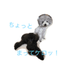 こごま ＆ イヴ（個別スタンプ：3）