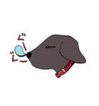 黒と銀（個別スタンプ：4）