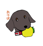 黒と銀（個別スタンプ：5）
