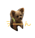 一生懸命ちわぷー（個別スタンプ：9）