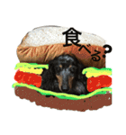 わんこーず2（個別スタンプ：2）