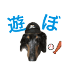 わんこーず2（個別スタンプ：7）