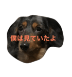 boogiekunn（個別スタンプ：1）