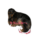 boogiekunn（個別スタンプ：2）