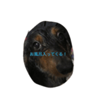 boogiekunn（個別スタンプ：3）