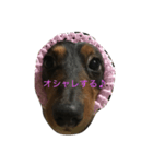 boogiekunn（個別スタンプ：5）
