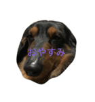 boogiekunn（個別スタンプ：6）
