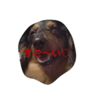 boogiekunn（個別スタンプ：8）