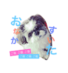 れお ヒメ ぽん太（個別スタンプ：6）