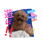 れお ヒメ ぽん太（個別スタンプ：8）