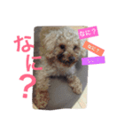 れお ヒメ ぽん太（個別スタンプ：13）