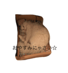 白ネコゆらぎの日常だよ！！（個別スタンプ：5）