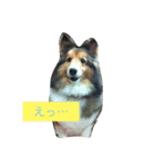 せなもこもな（個別スタンプ：8）