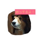 せなもこもな（個別スタンプ：11）