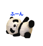 ぱんぱん＆パシュ2（個別スタンプ：3）