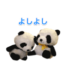 ぱんぱん＆パシュ2（個別スタンプ：10）