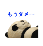 ぱんぱん＆パシュ2（個別スタンプ：11）