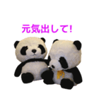 ぱんぱん＆パシュ2（個別スタンプ：12）