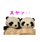 ぱんぱん＆パシュ2（個別スタンプ：14）