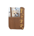 ネロマロ（個別スタンプ：7）