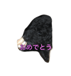 トイプードル  もこ＆らるちゃん（個別スタンプ：15）