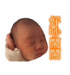 CONY's LANGUAGE（個別スタンプ：3）