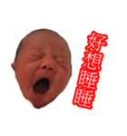 CONY's LANGUAGE（個別スタンプ：13）