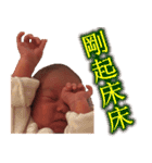CONY's LANGUAGE（個別スタンプ：31）