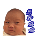 CONY's LANGUAGE（個別スタンプ：36）