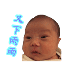 CONY's LANGUAGE（個別スタンプ：37）