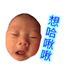 CONY's LANGUAGE（個別スタンプ：40）