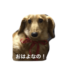 ニョロズスタンプ！（個別スタンプ：2）