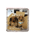 ニョロズスタンプ！（個別スタンプ：8）