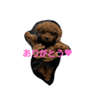 わんわんせぶん（個別スタンプ：5）