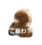 わんわんせぶん（個別スタンプ：8）
