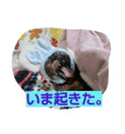 さび猫ニートスタンプ（個別スタンプ：6）
