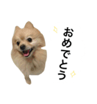 くうぷうぽんすけ2（個別スタンプ：1）