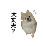 くうぷうぽんすけ2（個別スタンプ：2）
