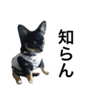くうぷうぽんすけ2（個別スタンプ：3）